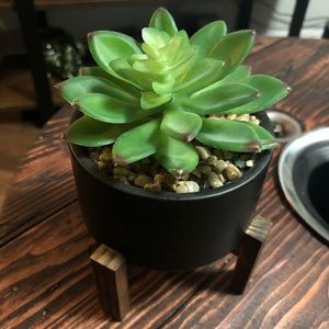 Decorative Potted Fake Succulent Floral Plant 🌱